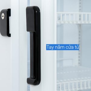 Tủ Mát Sanaky 300 lít VH-3089K 6