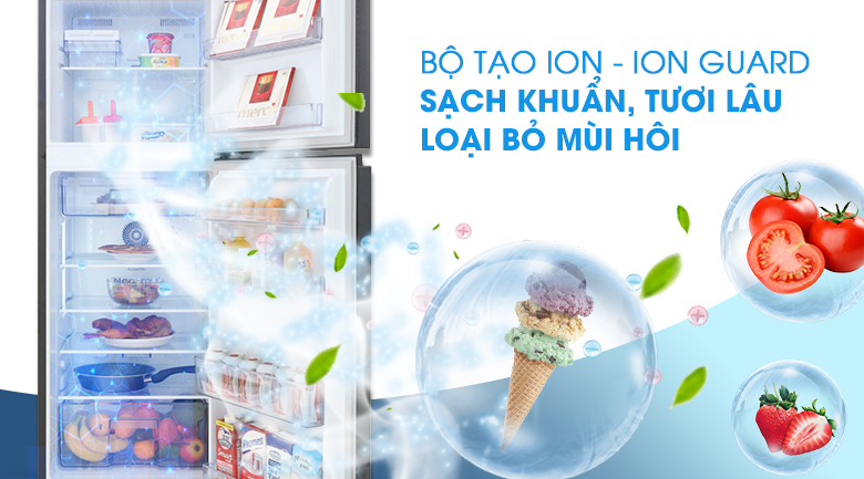 Công nghệ Ion Guard - Tủ lạnh Beko Inverter 230 lít RDNT251I50VWB